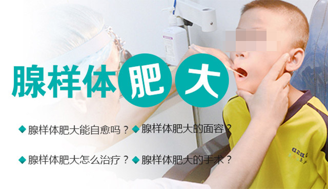 ������ʴ�